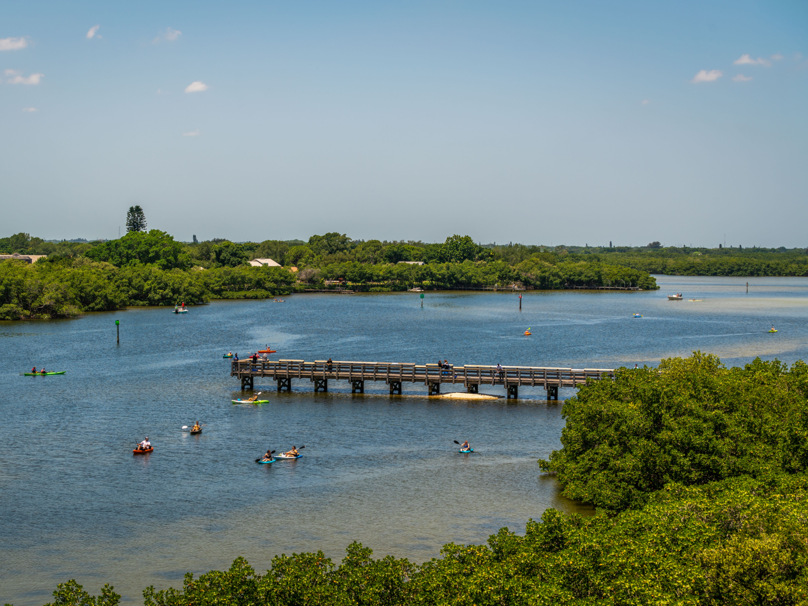 Weedon Island Preserve, one of the best things to do in Tampa, as viewed from the shore