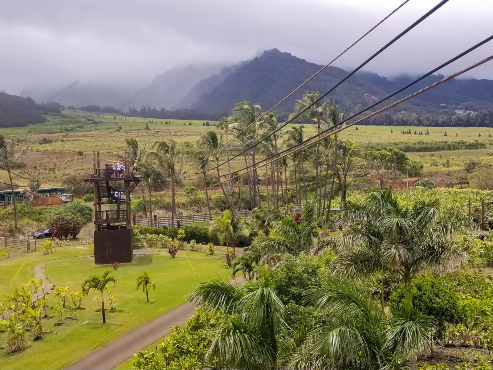 Photo of a zipline over a foggy plantation, one of the best things to do in Maui