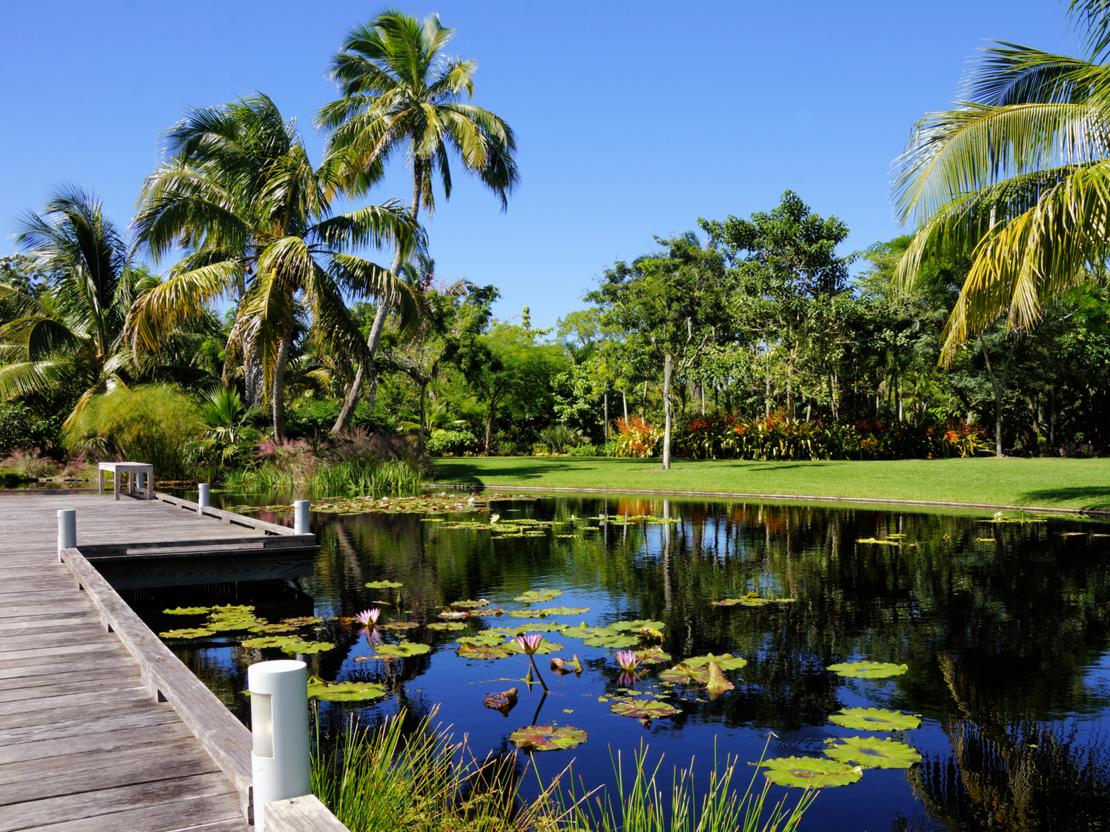 Gorgeous view of the Naples Botanical Garden, one of the best things to do in South Florida, from the walking path