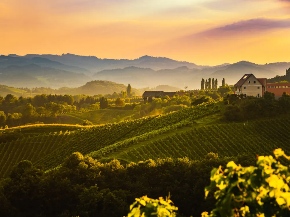 Best time to go to Italy pictured at dawn over a gorgeous winery
