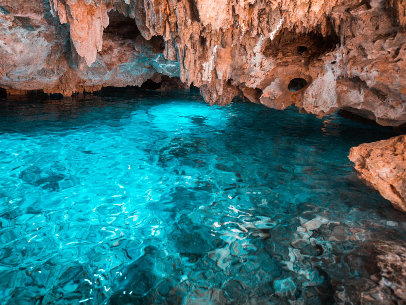 Cenote Azul in Playa del Carmen, one of the best cenotes in Mexico