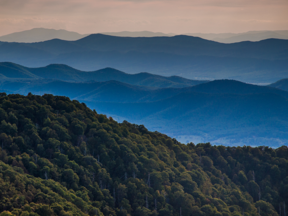 Visiting the peaceful layers of ridges and thick pristine forest of the Blue Ridge Mountains is one of the things to do in Virginia