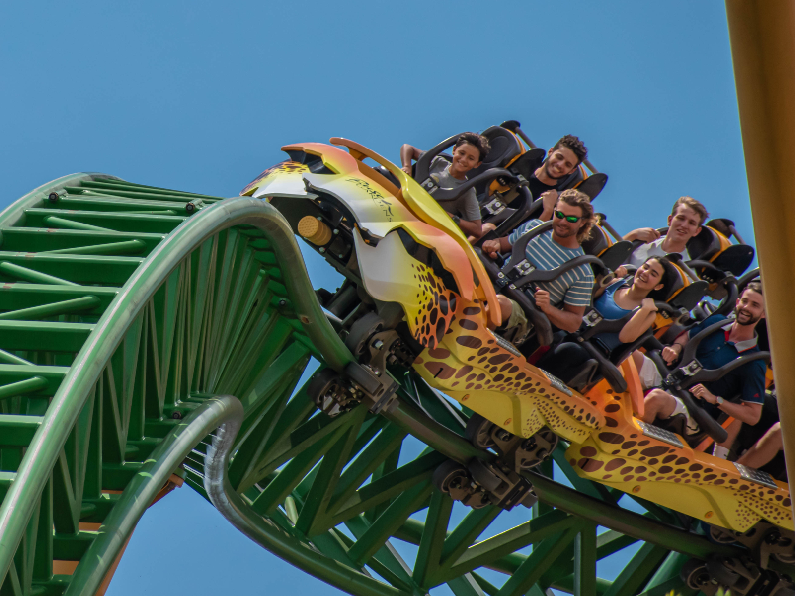 Bunch of folks riding a roller coaster in Busch Gardens, one of the best things to do in Tampa, Florida