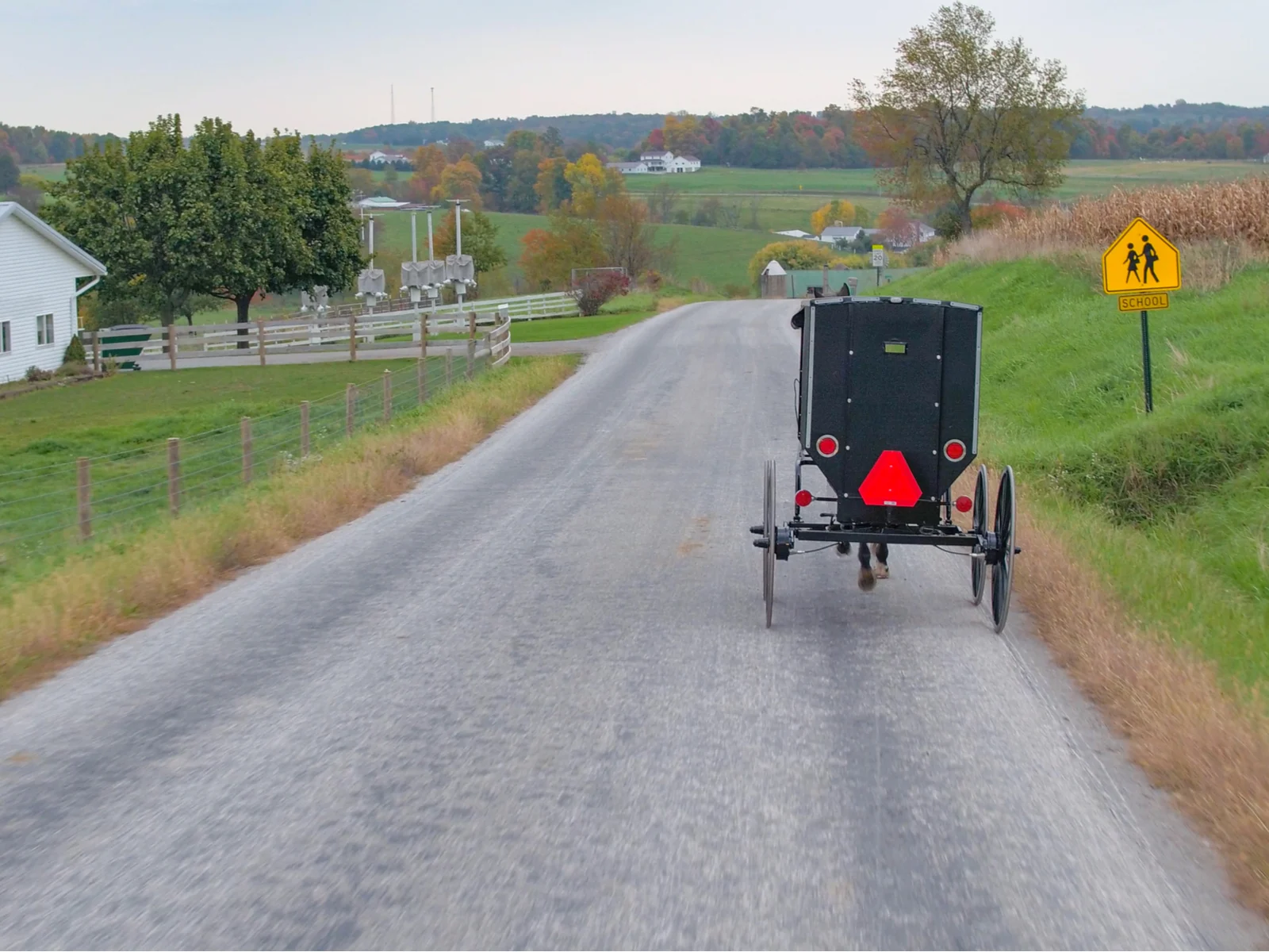Horse and buggy in the countryside, something you might see while staying at the best Airbnb in Ohio