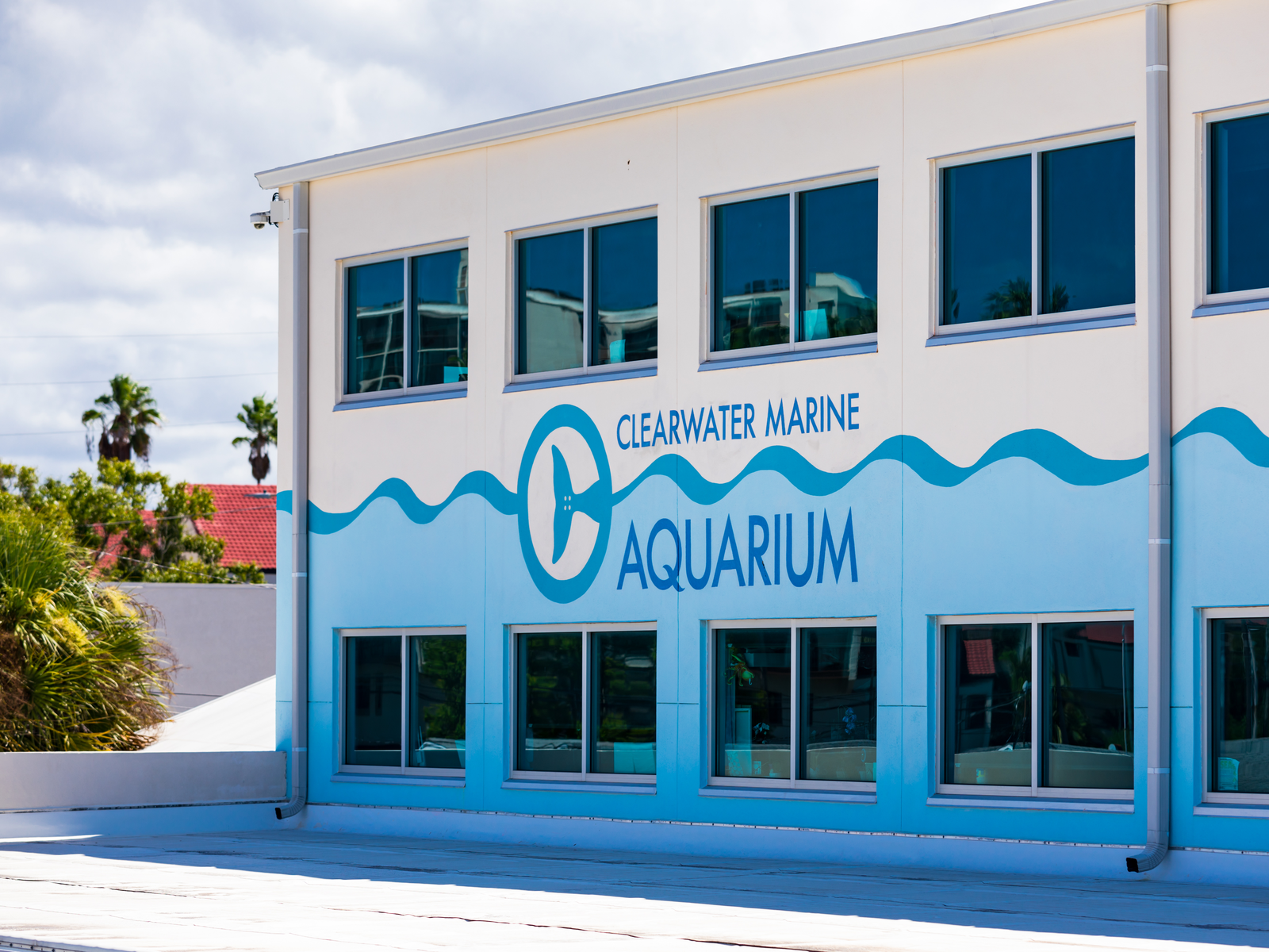 A multiple glass window building at Clearwater Marine Aquarium, one of the best aquariums in Florida, painted with a blue wave pattern 