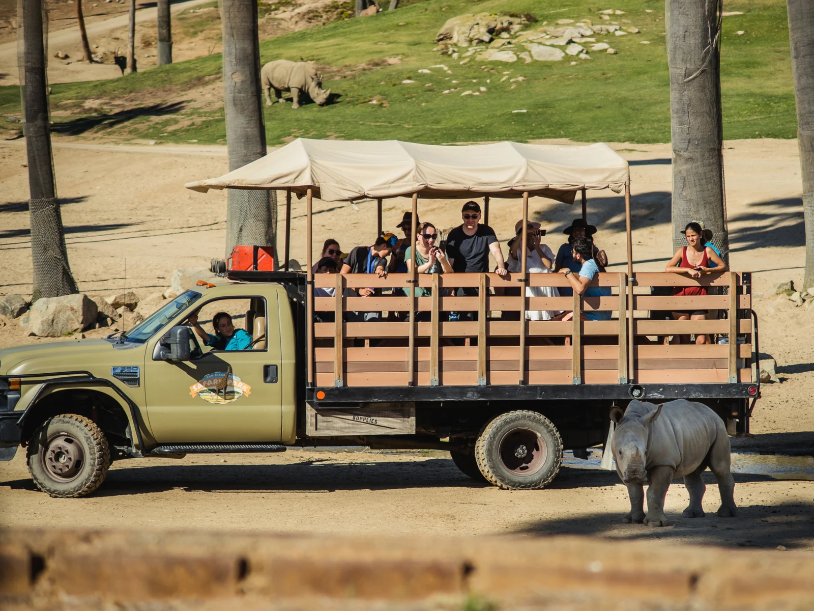 People in a truck riding in Safari Park, one of the best things to do in San Diego