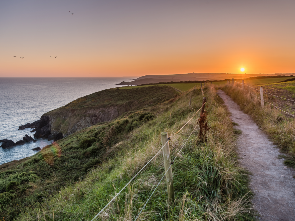 A wire fenced path beside a calm coast on a beautiful sunrise at Ballycotton Cliff Walk, titled as one of the best hikes in Ireland