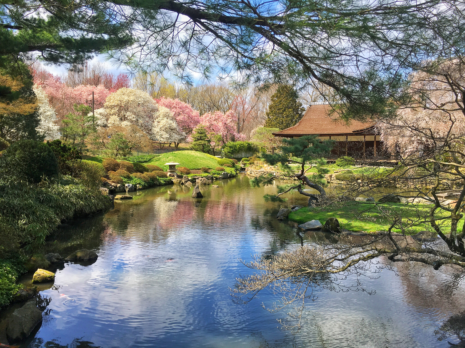 A traditional-style Japanese house and landscape in the middle of City, picture as a piece on the best things to do in Pennsylvania