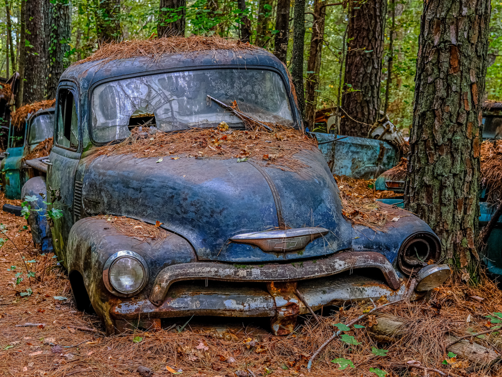 A vintage blue Chevrolet car junked in a forest at Old Car City, one of the best tourist attractions in Georgia, and portions of other old cars visible in background