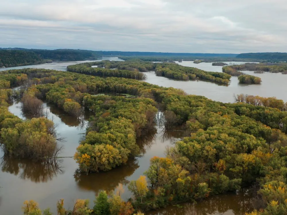 Beautiful random mangrove lines at Mississippi River Valley considered as one of the best Wisconsin tourist attractions in Wisconsin Minnesota border