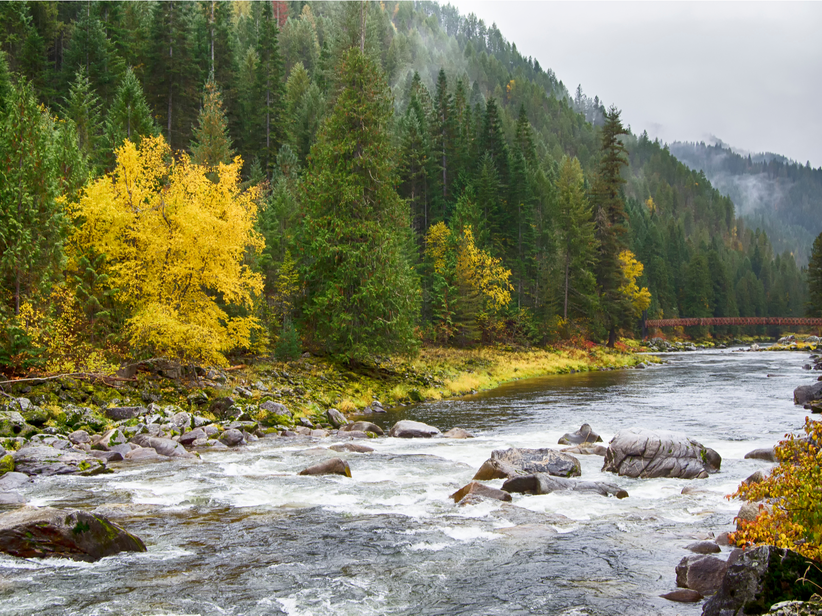Lochsa River along US 12, one of the best places to visit in Montana