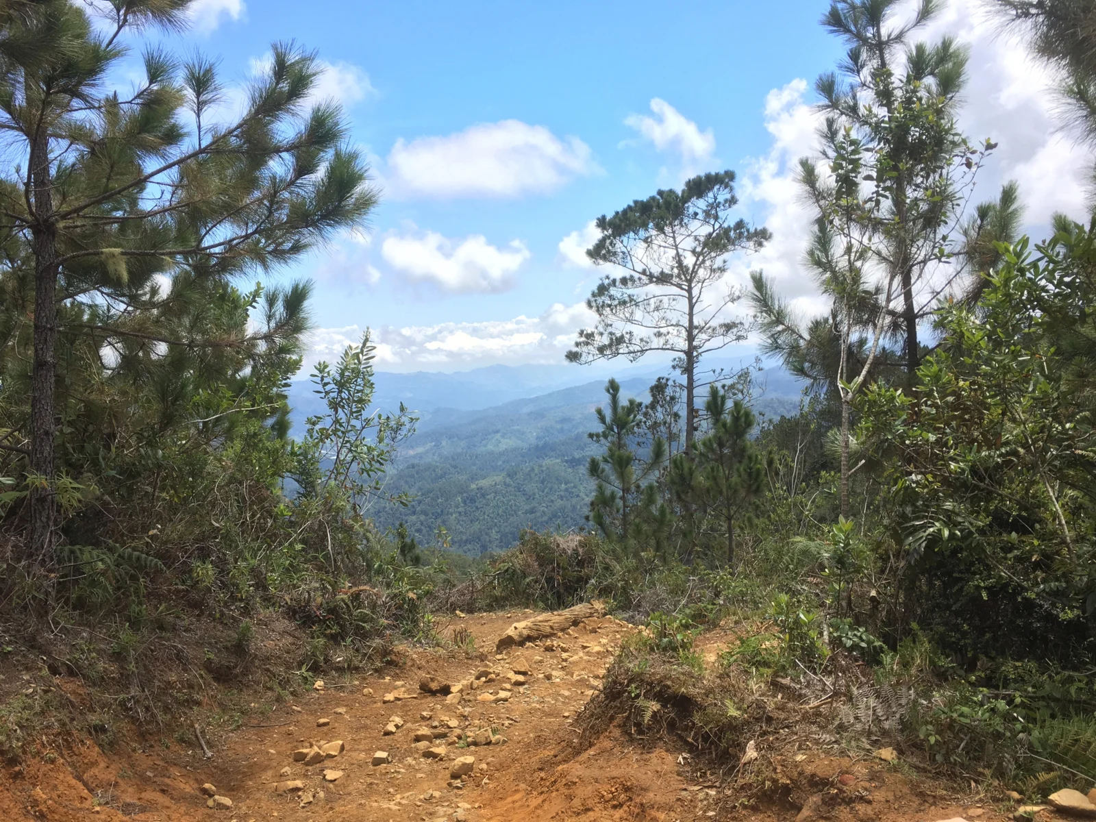 Trailhead opening at the El Pico Duarte, one of the Dominican's best places to visit