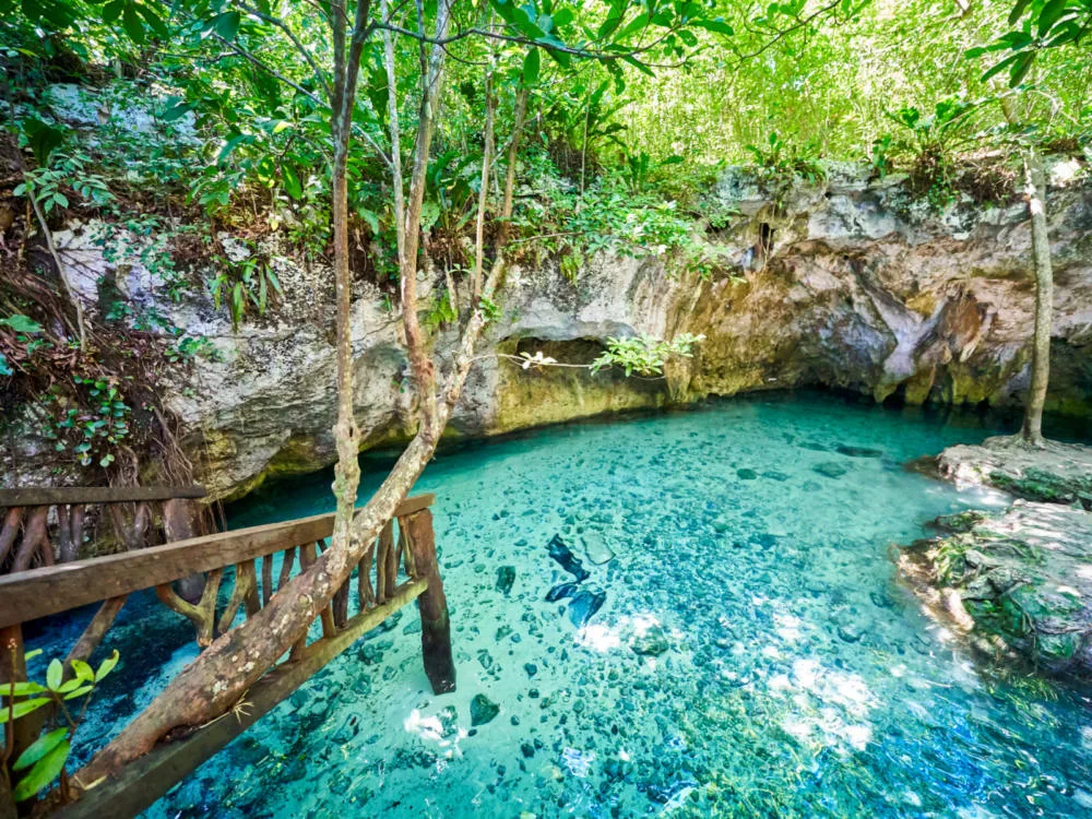 Gran Cenote, one of the best in Mexico, as pictured from the entrance at the bottom of the stairs