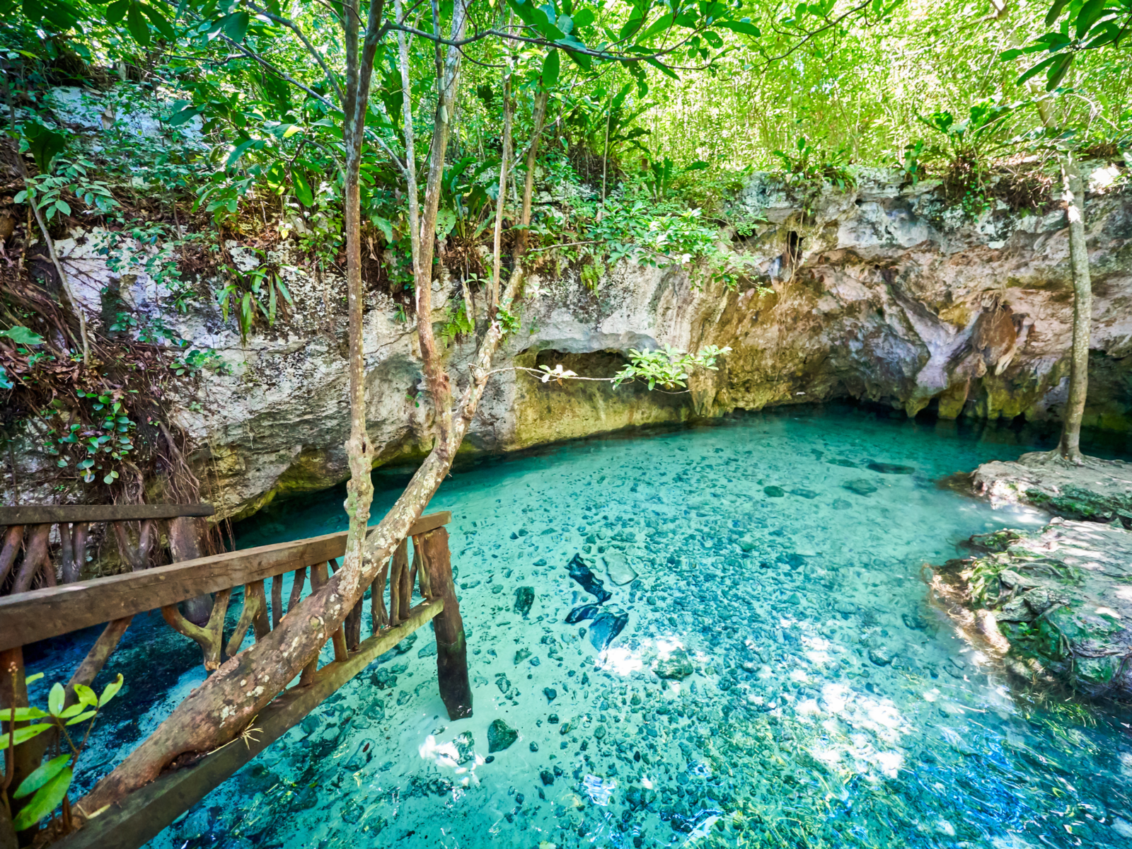 Gran Cenote, one of the best in Mexico, as pictured from the entrance at the bottom of the stairs