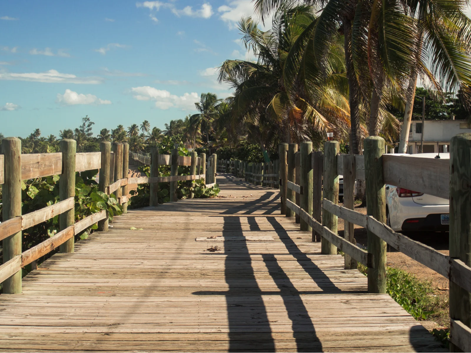 An empty wooden foot bridge of Piñones is one of the best things to do in Puerto Rico, leading towards tall palm trees