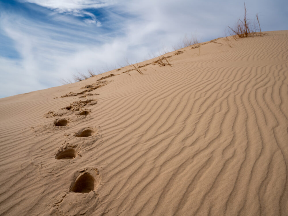 Footprints up the Monahans Sandhills National Park, one of the best things to do in Texas