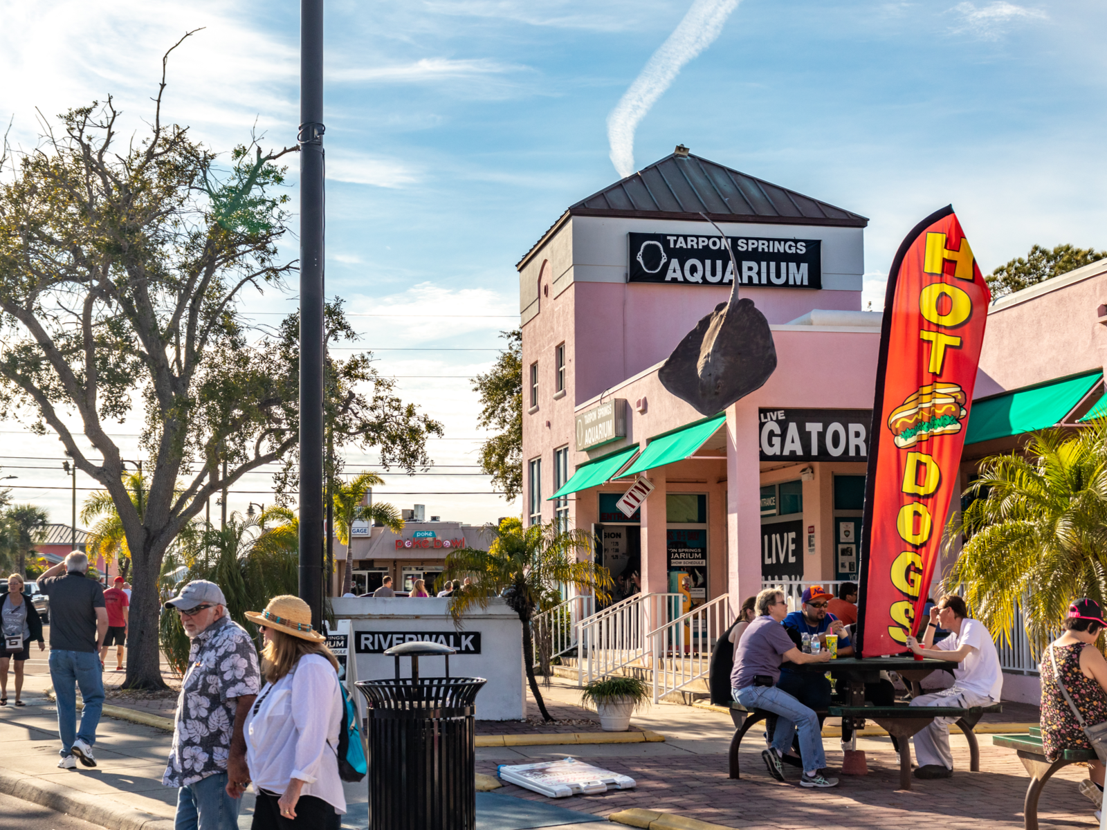 People passing by and eating in front of Tarpon Springs Aquarium and Animal Sanctuary, a piece on the best aquariums in Florida, on a bright morning
