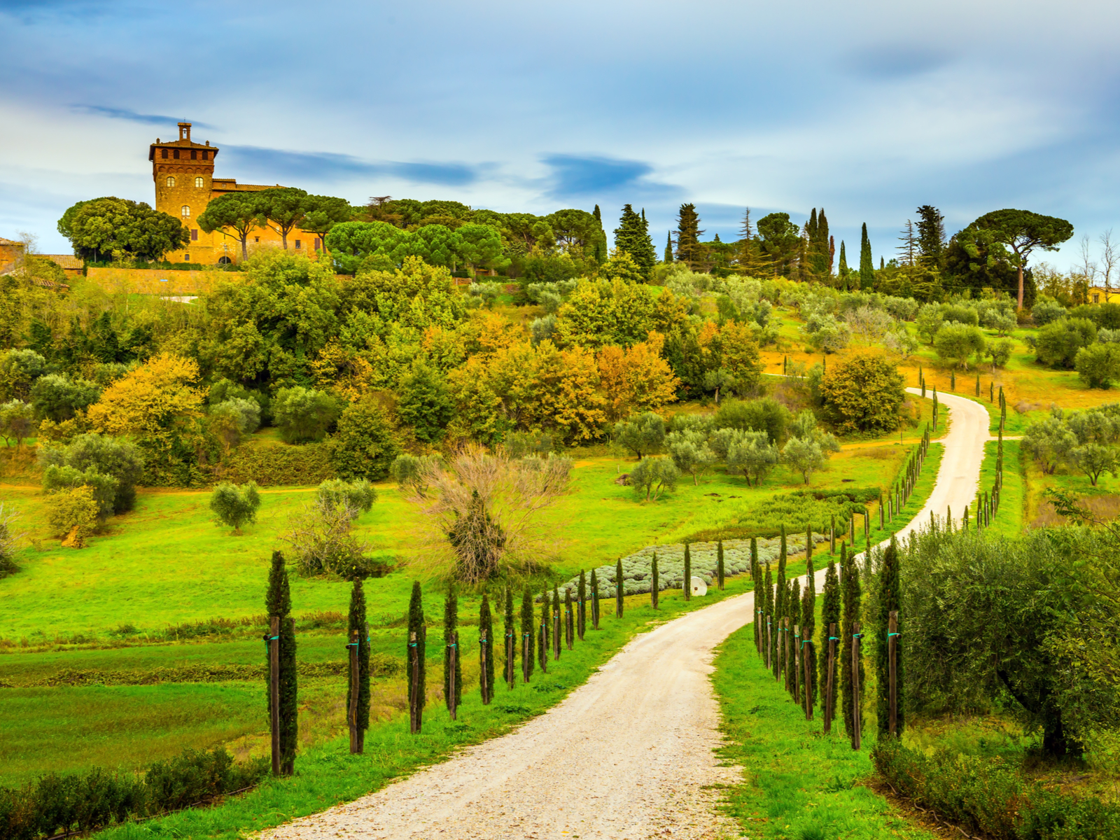 Winding dirt road in Tuscany in the Summer with lots of greenery for a piece on the best places to visit in Italy
