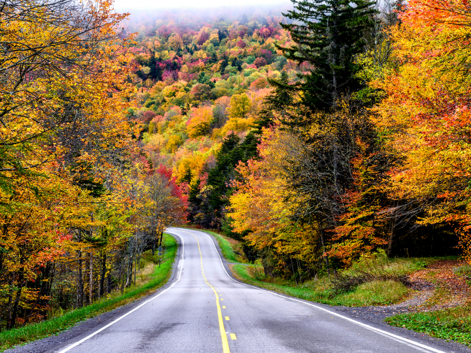 Monongahela National Forest on Route 250, one of the best attractions in West Virginia