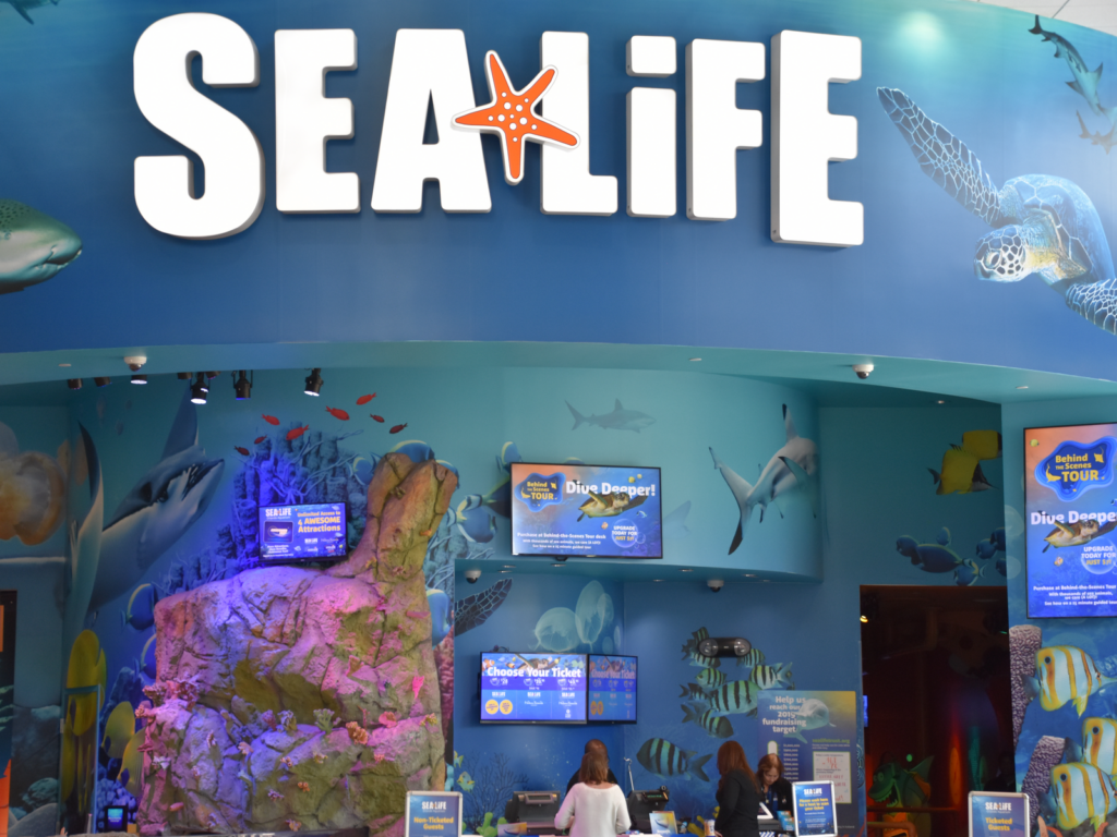 The 15 Best Aquariums in Florida in 2023