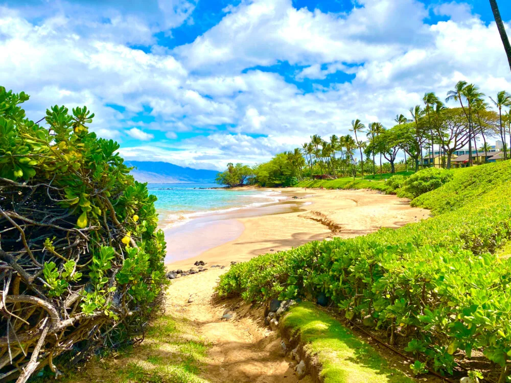 Neat pathway to Wailea Beach, one of the best things to do in Maui on a sunny day overlooking the ocean