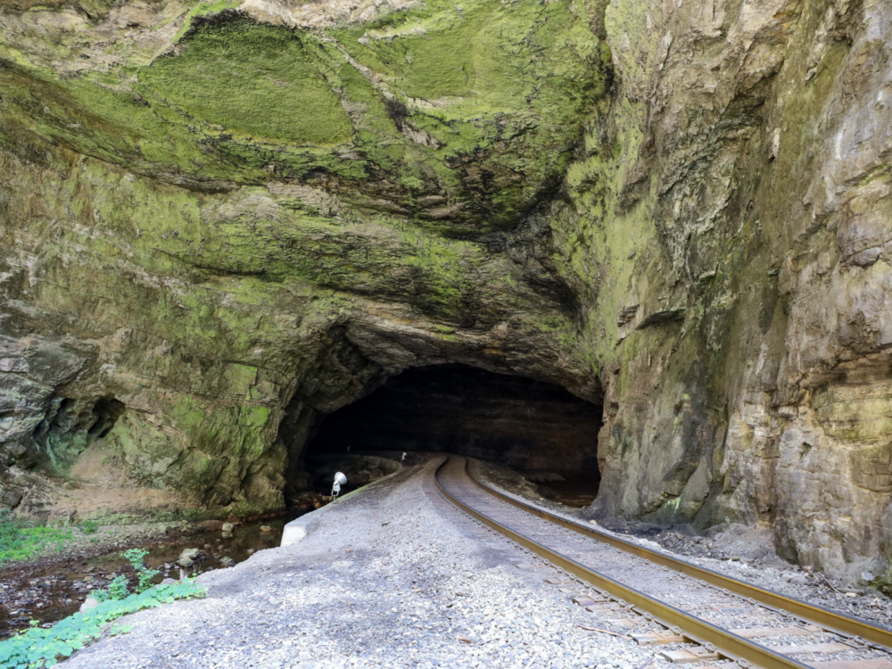 A railroad heading towards the Virginia Natural Tunnel, one of the things to do in Virginia, with moss-covered limestones 