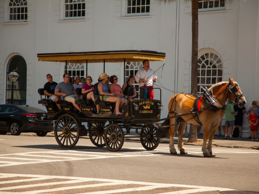 Horse and buggy pictured on a hot day during the worst time to visit Charleston SC