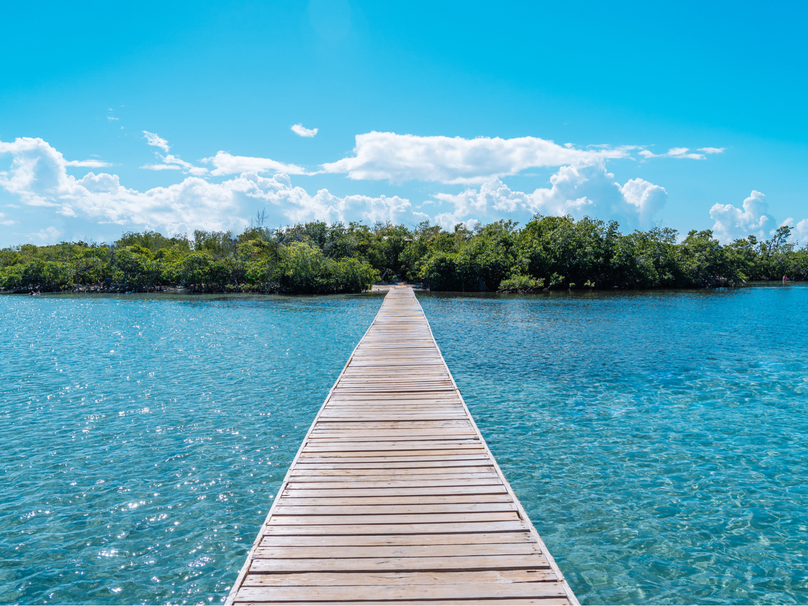 Strolling on an empty boardwalk, leading towards the rich Gilligan’s Island, is one of the must things to do in Puerto Rico