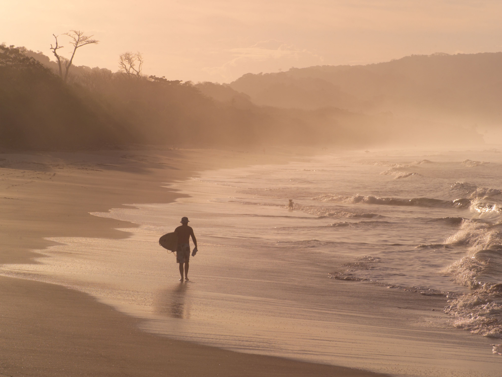 Unique of a surfer walking in one of Costa Rica's best places to visit, Malpais, on a misty day