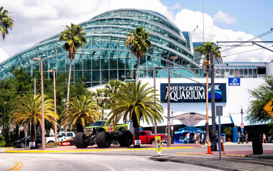 The 15 Best Aquariums in Florida (Top Picks for 2024)