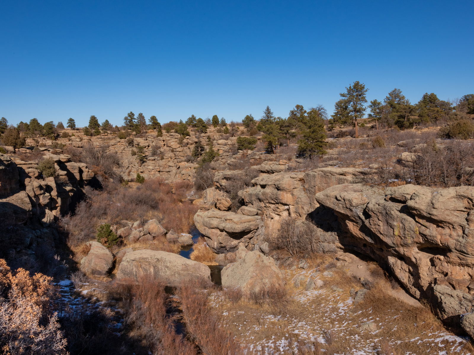 Rock formations and several trees on Castlewood Canyon State Park, one of the best hikes near Denver