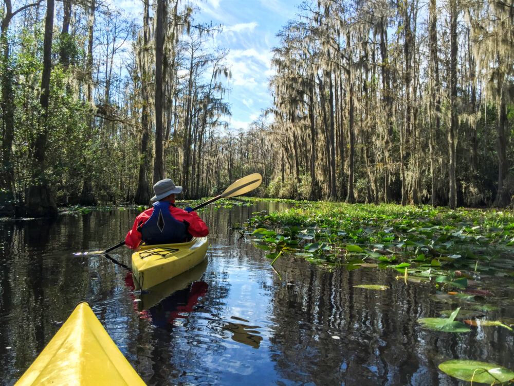 People kayaking on a swamp, one of the best attractions in Georgia