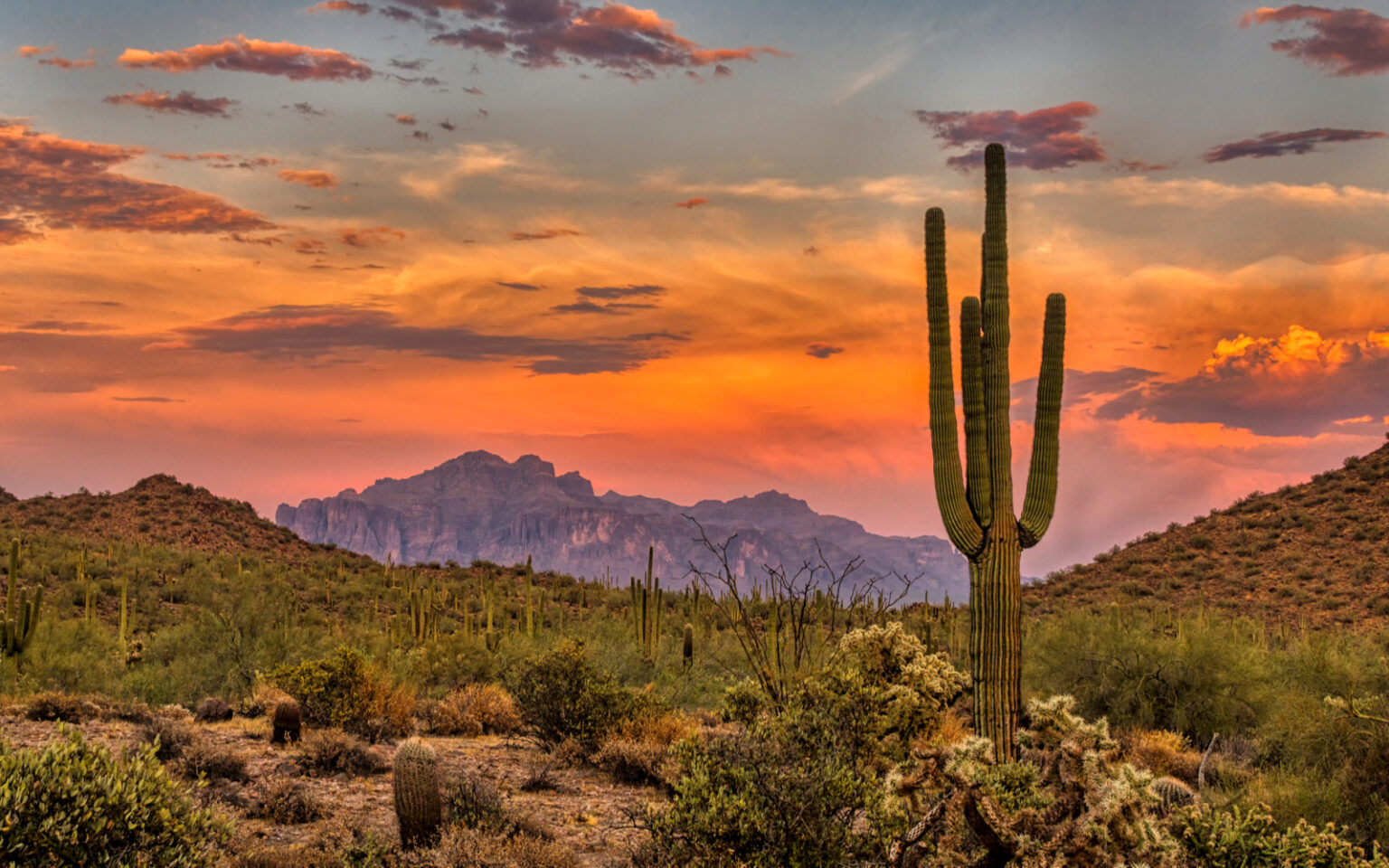 📅 The Best Time to Visit Arizona in 2023 When to Go
