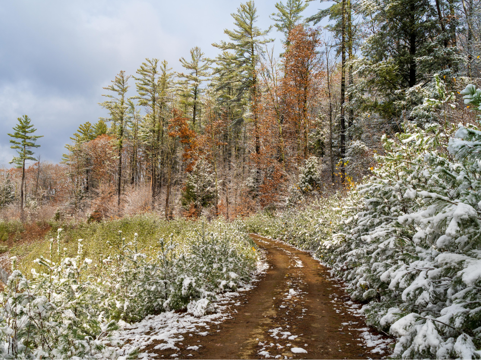 Autumn day with snow on a hiking trail at one of the best places to visit in Vermont, Ludlow