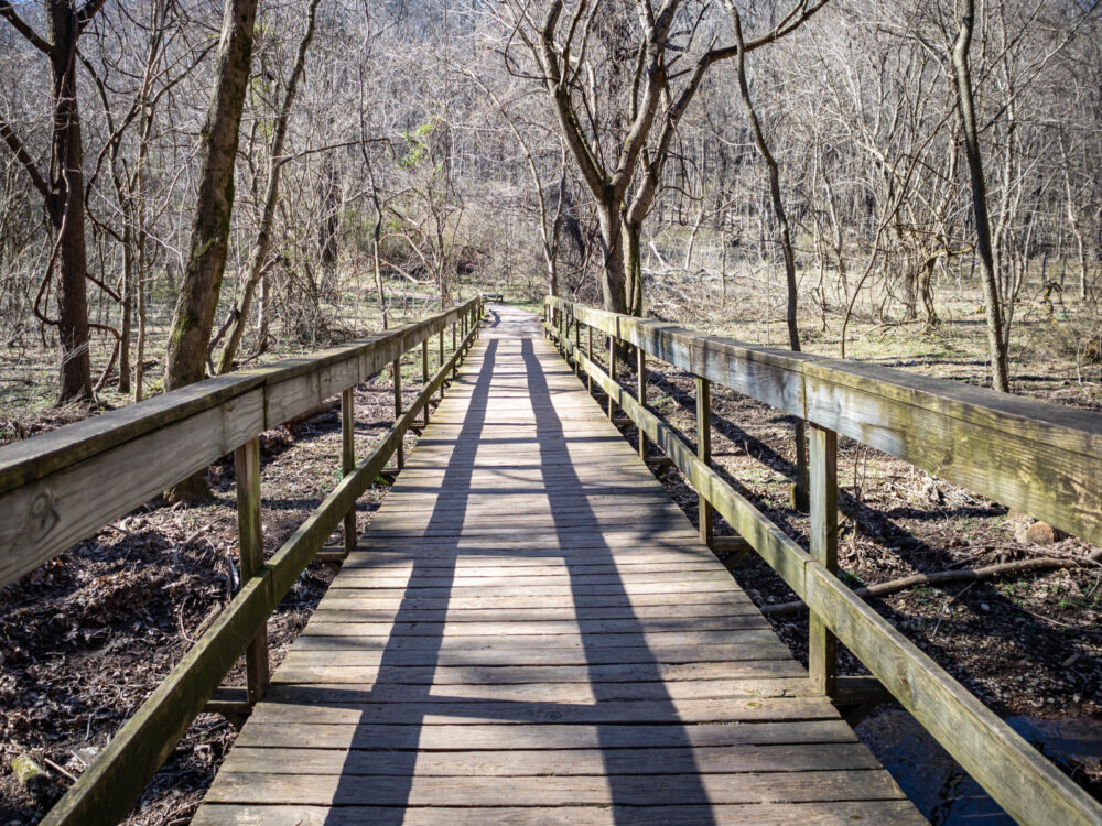 Boardwalk in Radnor Lake State Park, one of Nashville's best things to do