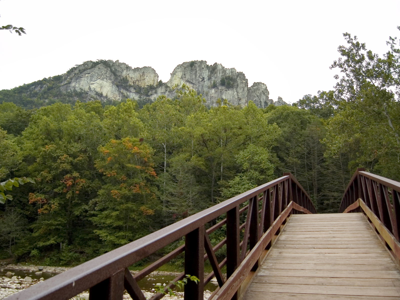 The famous Seneca Rocks, one of the best attractions in West Virginia, surrounded by thick layers of trees seen from a wooden foot bridge