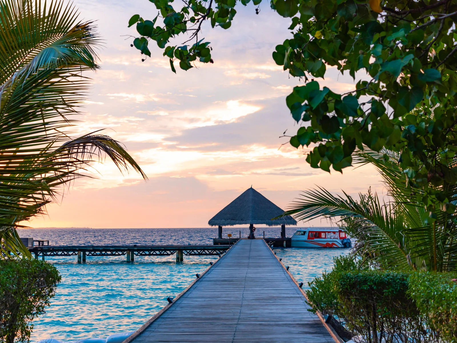 View of a dock and water from between trees during the overall best time to visit Maldives