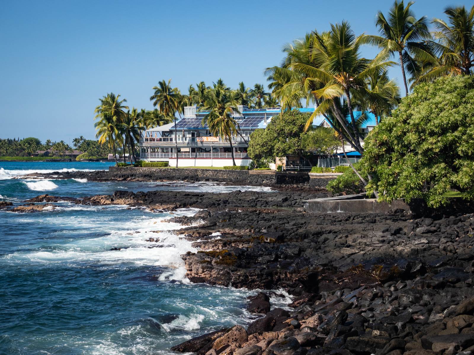 Papa Kona Restaurant, one of the best restaurants in Kona, Hawaii, surrounded by palm trees on a rocky coastline 