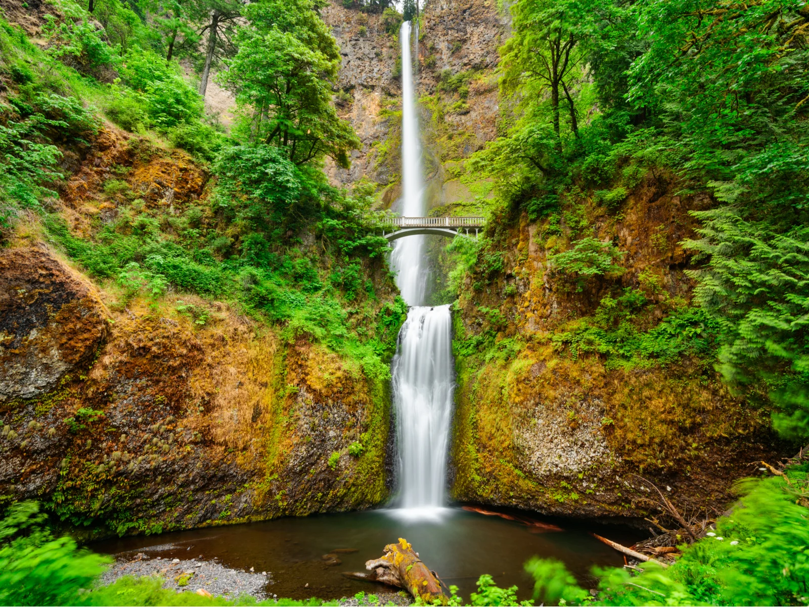 Multnomah Falls, one, one of the best places to visit in Oregon, viewed in the summer with lush greenery around the rocks