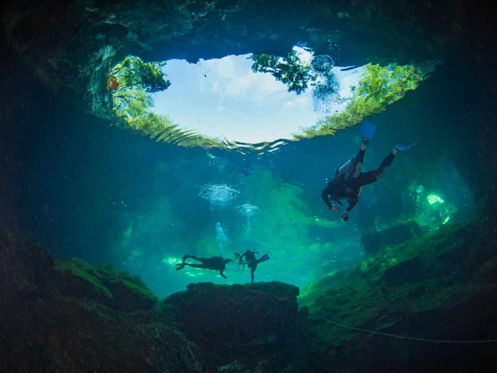 Cenote Ponderosa, one of the best cenotes in Mexico, as viewed from under the water