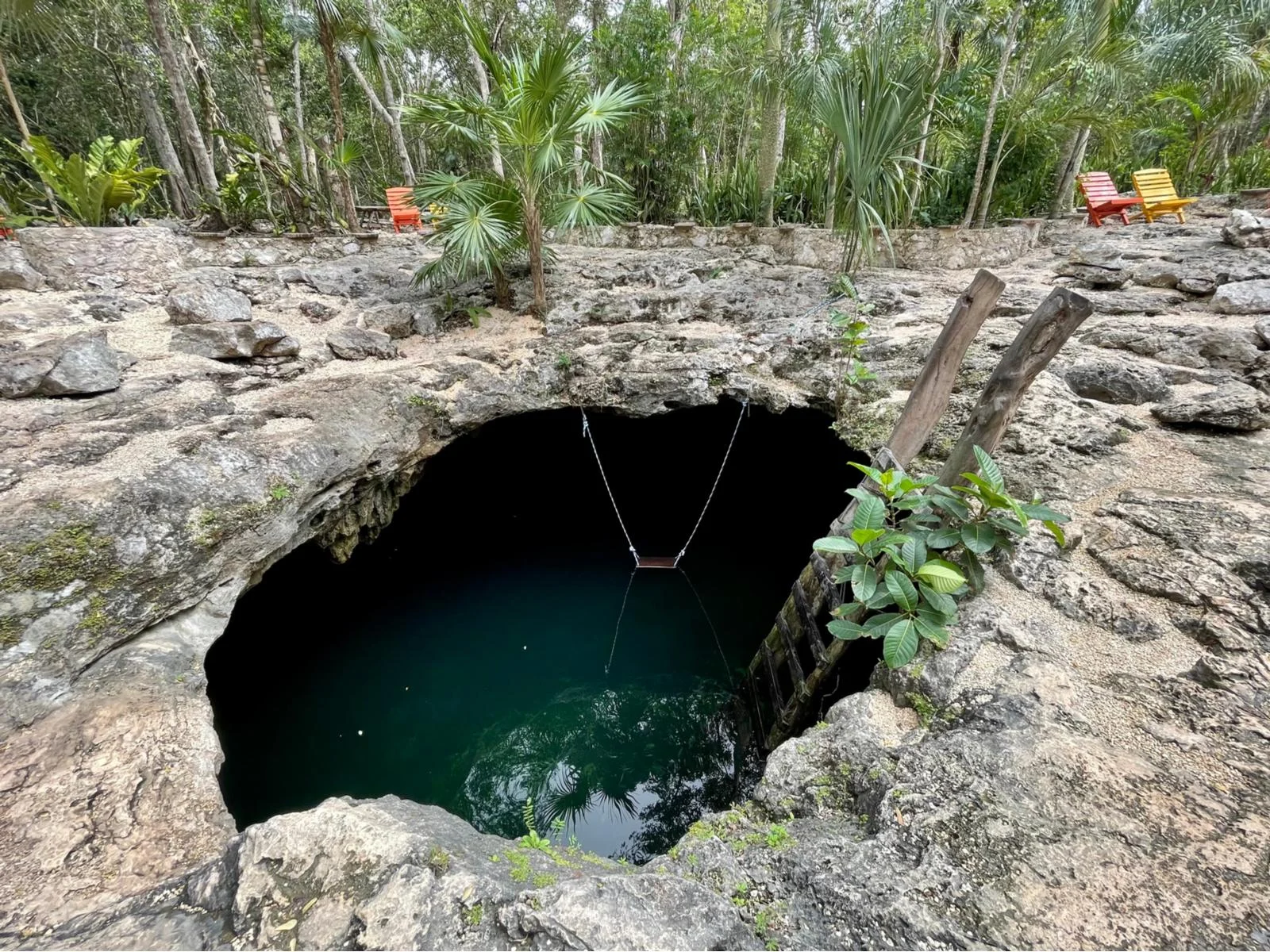Cenote Calavera, one of the best cenotes in Mexico, pictured at the entrance with a ladder going into the water