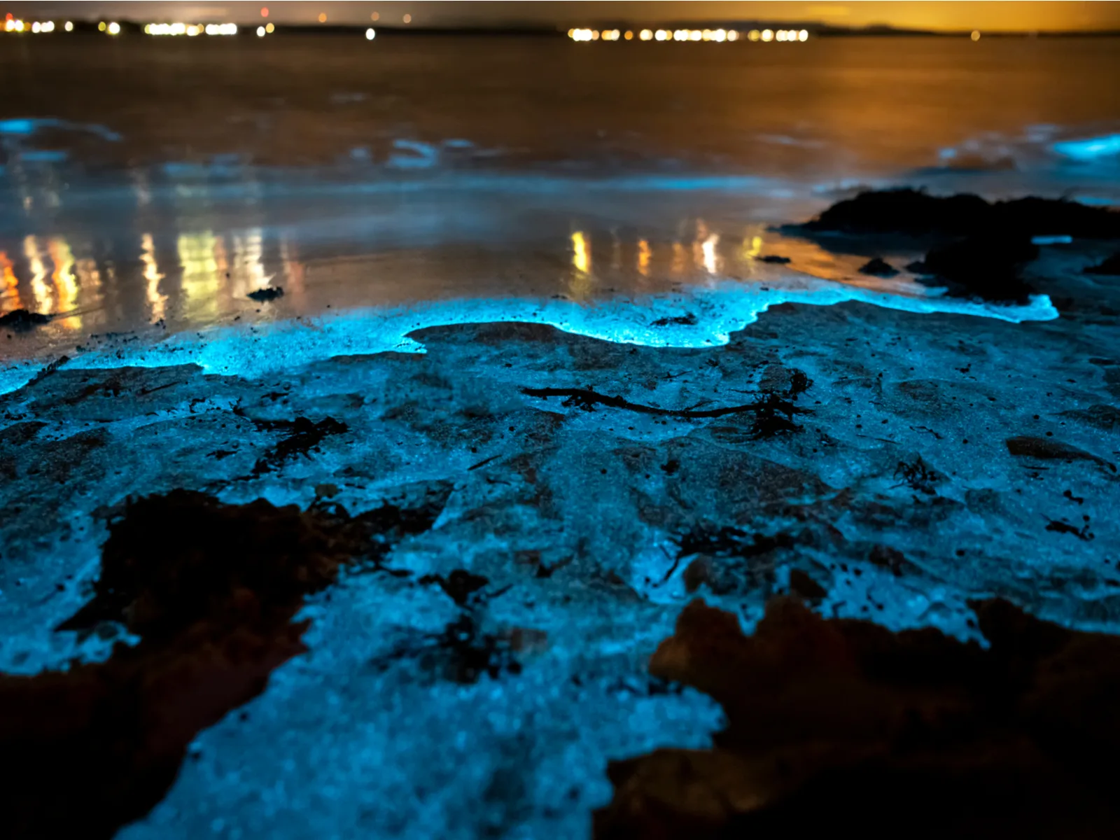 Surreal scene of brightly glowing bioluminescent bay at night, Mosquito Bay as one of the top things to do in Puerto Rico