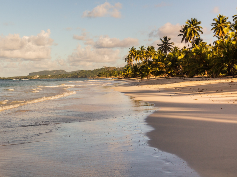One of the best beaches in the Dominican Republic on a sunset, the fine sands at Playa Rincón in Las Galeras with its palm trees