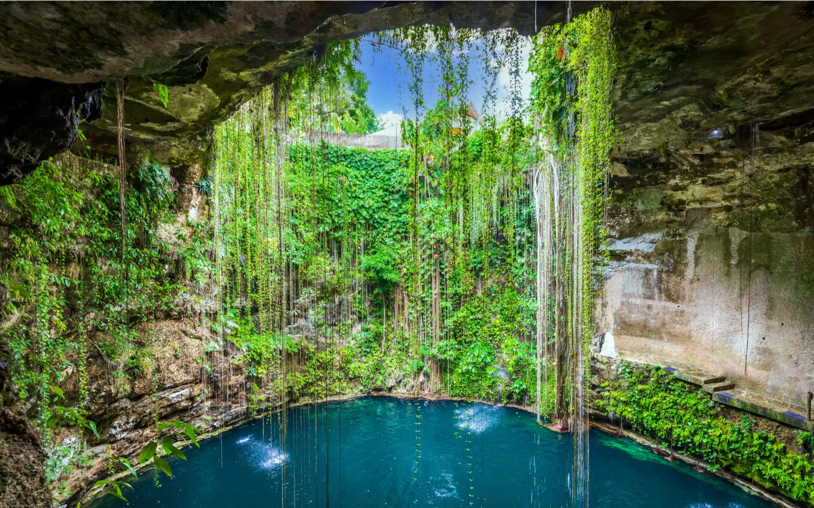 The 12 Best Cenotes in Mexico (Top Picks for 2024)