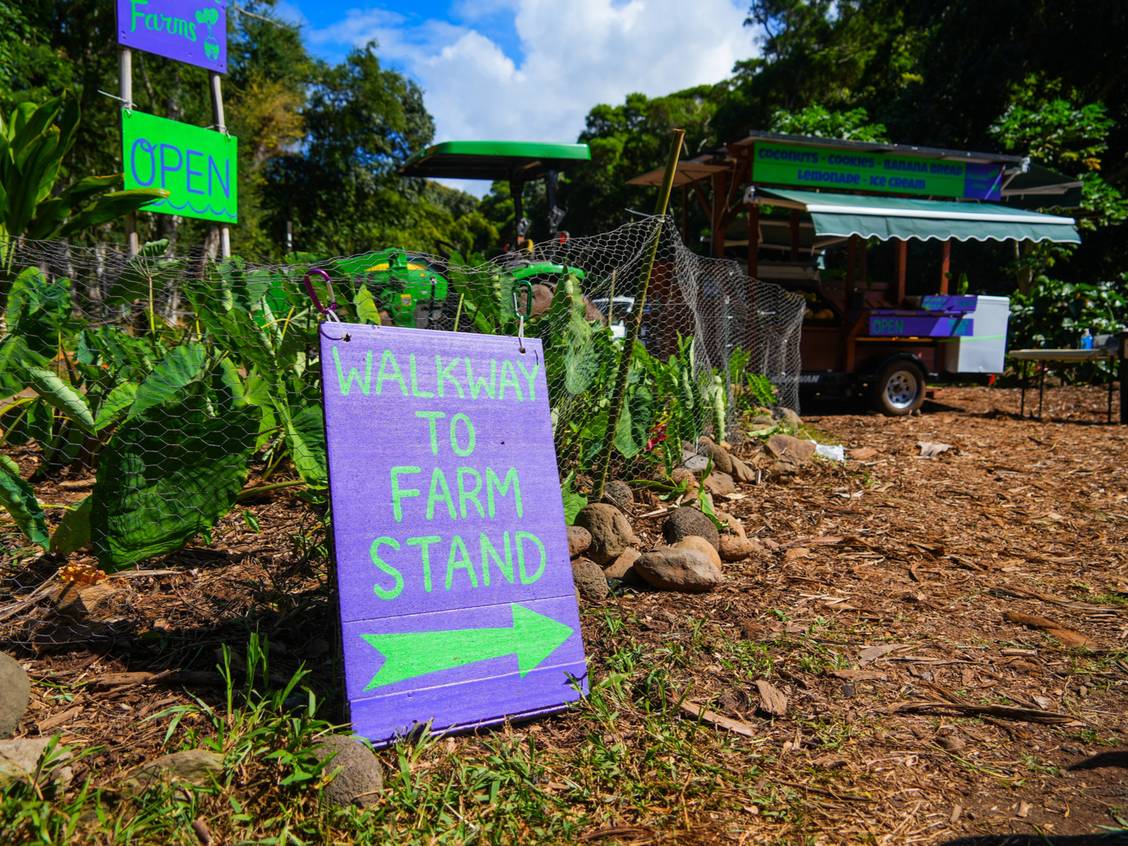 Farm selling tropical fruit in Maui