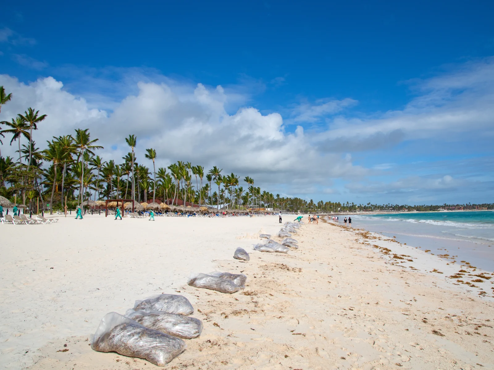 The aftermath of the seaweed cleanup at one of the best beaches in the Dominican Republic, Punta Cana