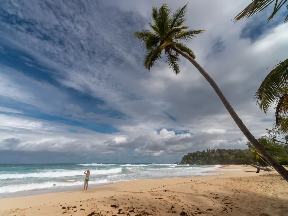 A cloudy day at Playa Grande in Rio San Juan, one of the best beaches in the Dominican Republic pictures a woman in her swimwear looking towards the wavy sea and a palm tree leaning towards the beach