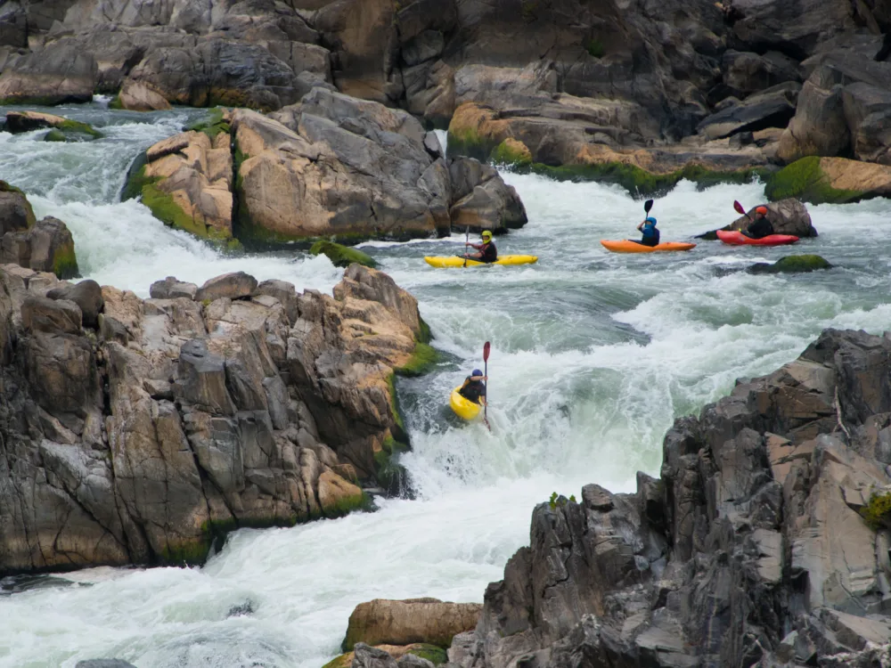A group of four kayaking at the rocky harsh waters of Great Falls National Park, one of the things to do in Virginia