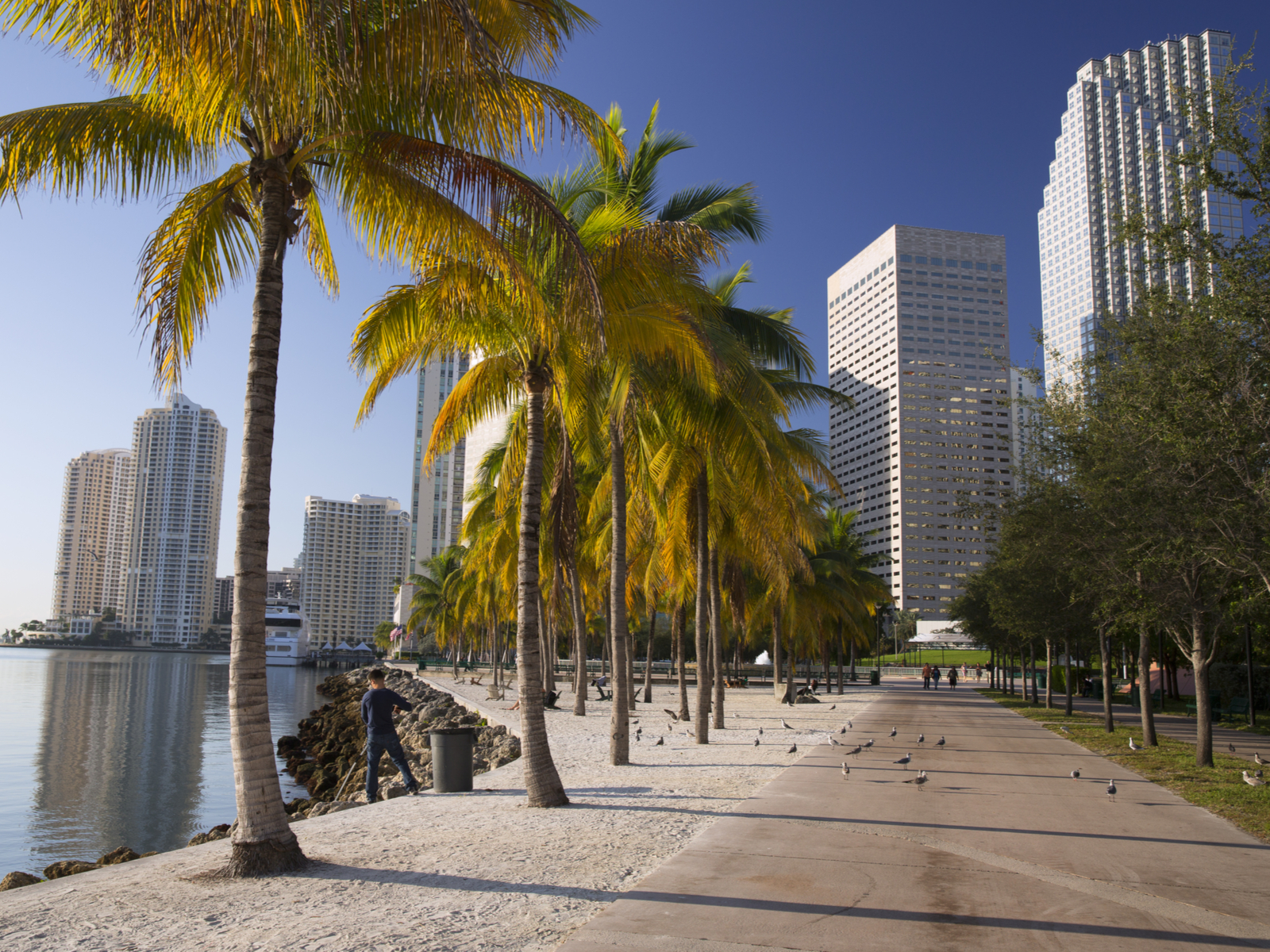 Photo of bayfront park, one of the best things to do in Miami