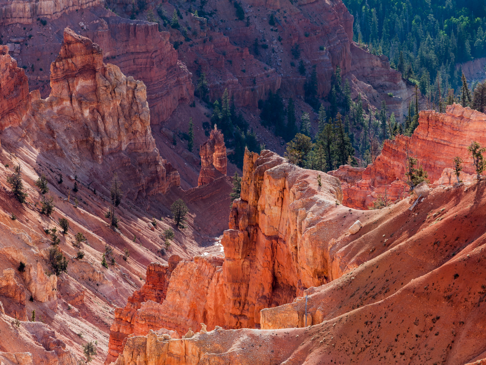 Cedar Breaks national monument, one of the best places to visit in Utah, as seen from the canyon rim